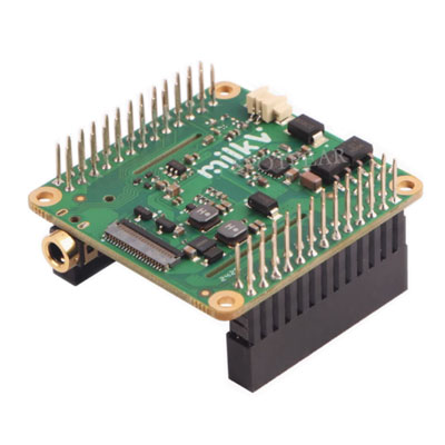 PoE HAT For Milk-V Duo S Onboard MIPI DSI Display Port Audio Input/Output Port