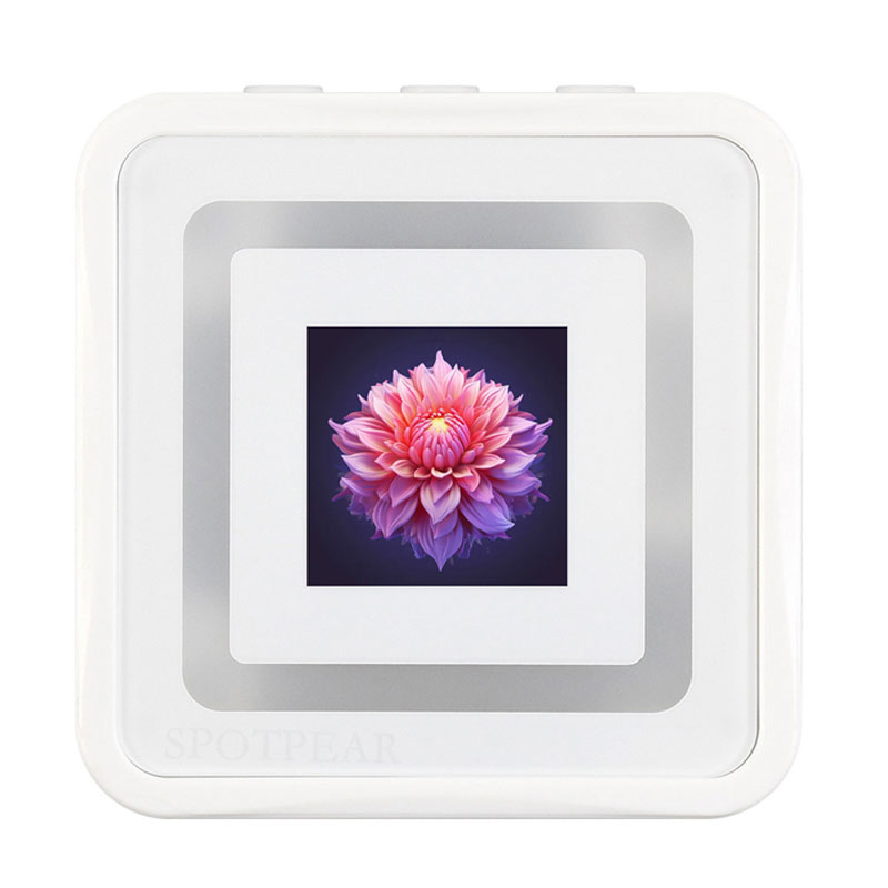 ESP32 C6 AI 0.85inch Development Board 0.85 inch DeepSeek RGB surround light Dual mike