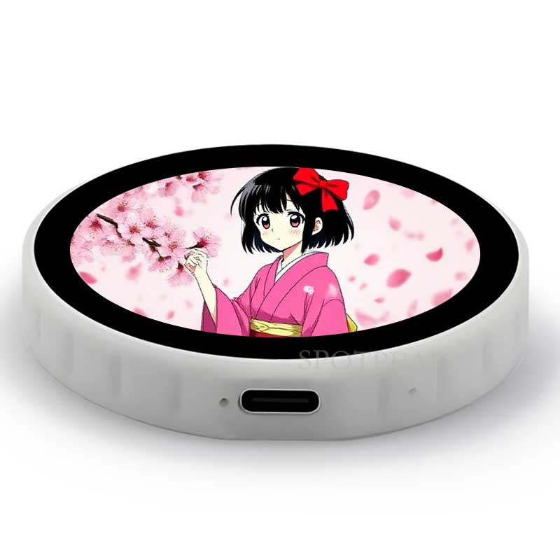 ESP32-S3 Development Board 1.85 inch Round LCD N16R8 DeepSeek AI Voice Chat Robot BOX Magnetic-charging