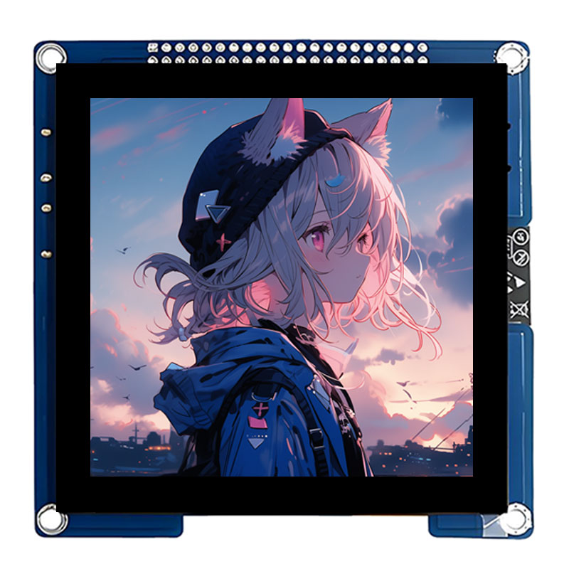 ESP32 S3 Development Board 4 inch LCD Capacitive Touch Screen 4inch Display 480×480 N16R8