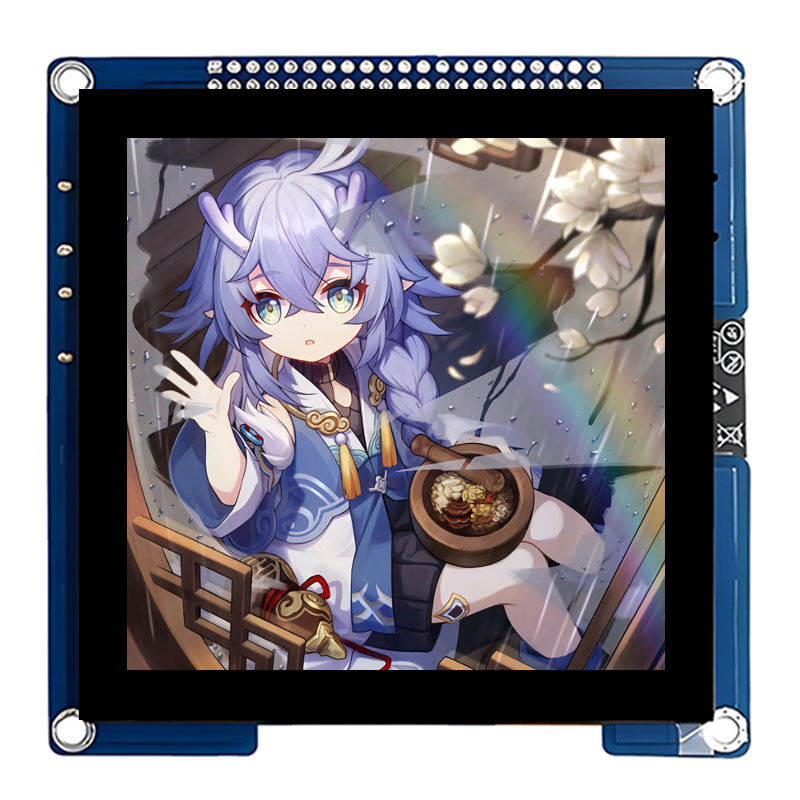 ESP32 S3 Development Board 4 inch LCD Capacitive Touch Screen 4inch Display 480×480 N16R8