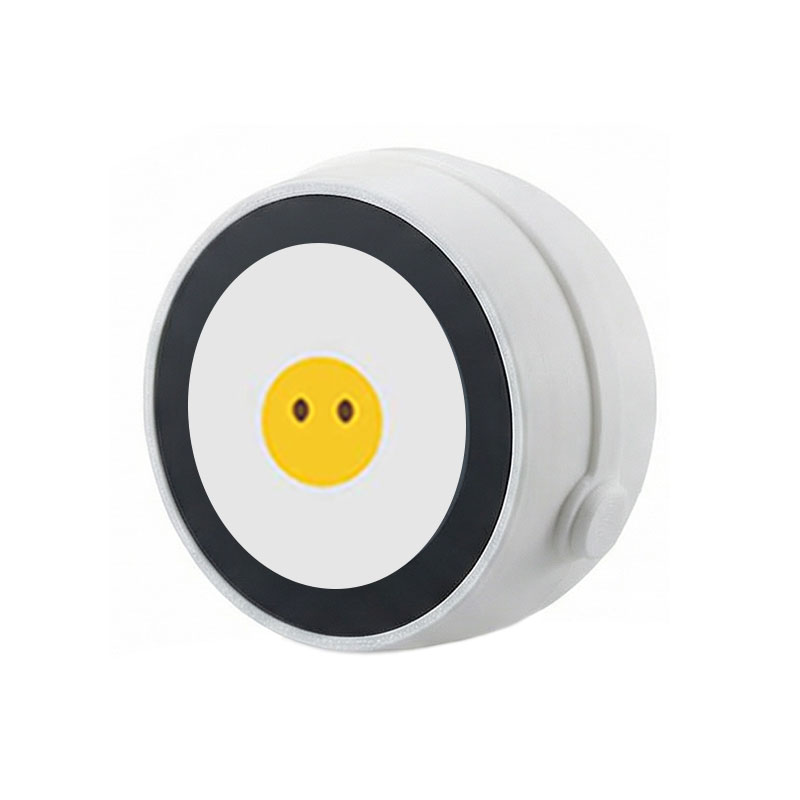 ESP32 AI Voice Chat Robot 1.28inch Development Board with 1.28 inch Round LCD Display Screen Deepseek