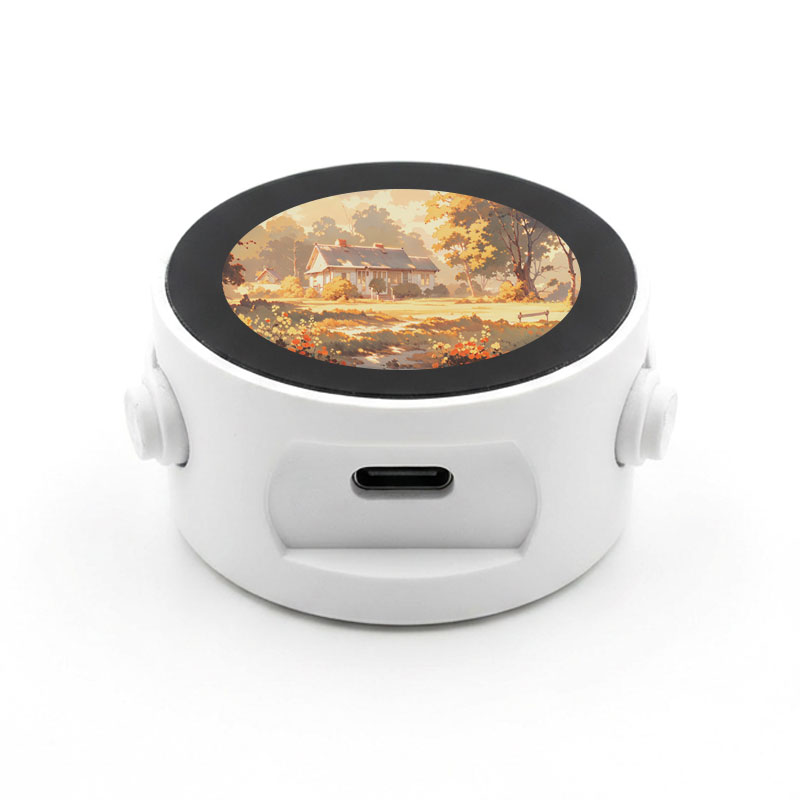 ESP32 AI Voice Chat Robot 1.28inch Development Board with 1.28 inch Round LCD Display Screen Deepseek