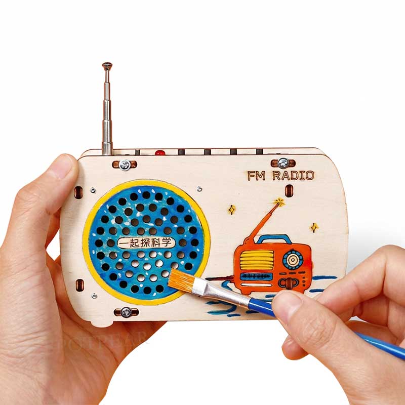 Radio Assembly DIY kit (B) STEM Educational Project for Beginners & Adult