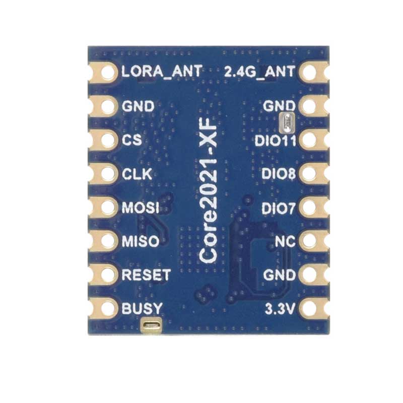 Core2021 LoRa LR2021 HF LF SPI LoRaWAN For Sub-GHz and 2.4GHz