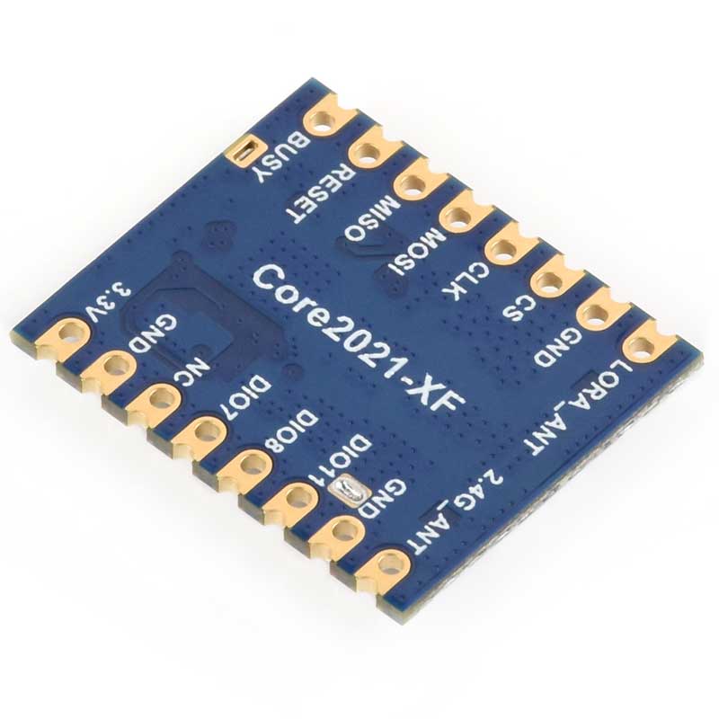 Core2021 LoRa LR2021 HF LF SPI LoRaWAN For Sub-GHz and 2.4GHz