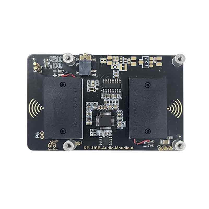 Raspberry Pi 5 USB Audio Sound Card Moudle HAT with Earphone Jack Buzzer Speaker Option For Pi4B