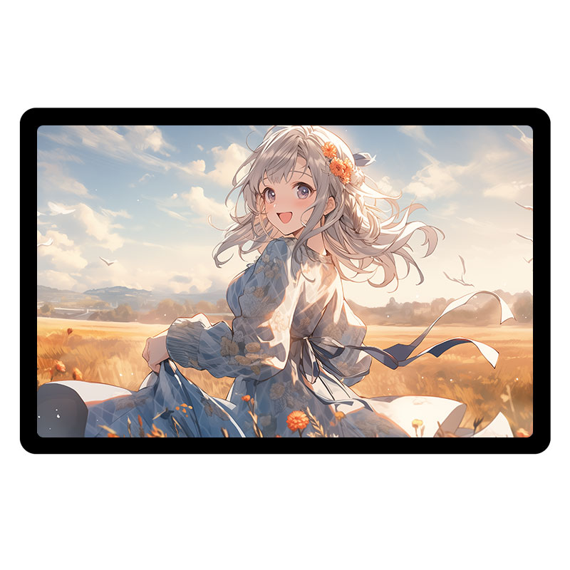 Raspberry Pi 11 inch HDMI LCD Captive TouchScreen Display 11inch 1920x1200 For Jetson Series/Computer PC