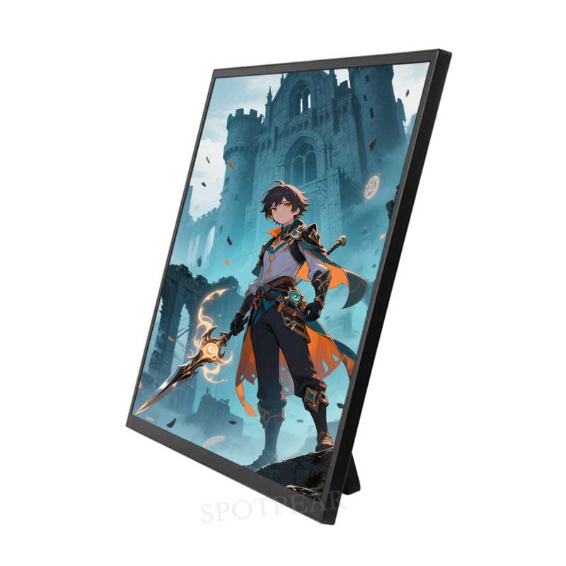 Raspberry Pi 24.5 inch Type C/HDMI 2K Display 24.5inch Screen 2560x1440 Computer PC Phone For Xbox/PS4/Switch
