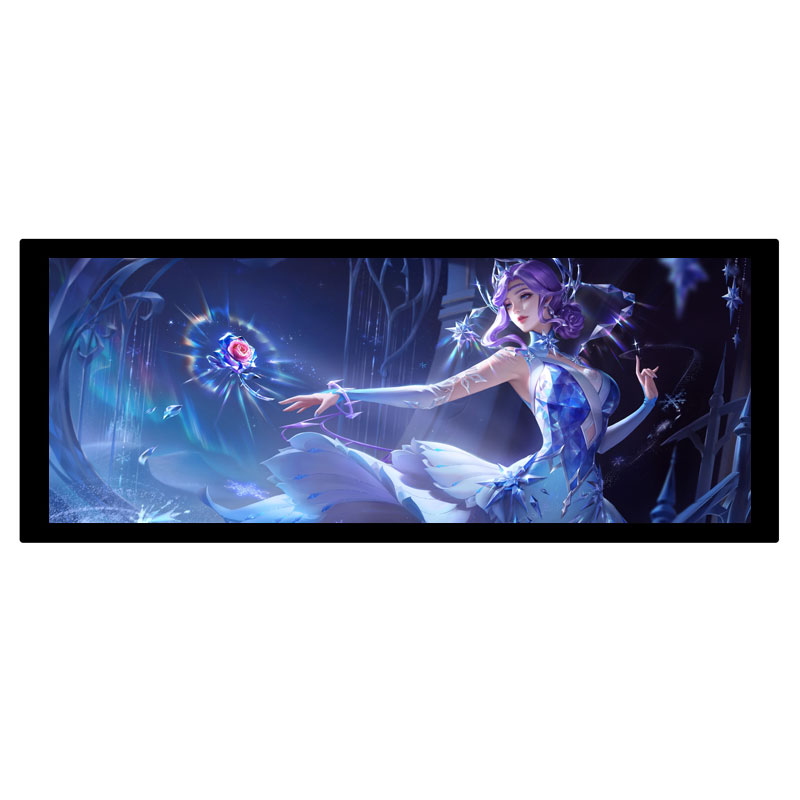 8.9inch LCD HDMI Capacitive 8.9 inch Touchscreen Display 600x1600 For Raspberry Pi/Jetson Nano/PC