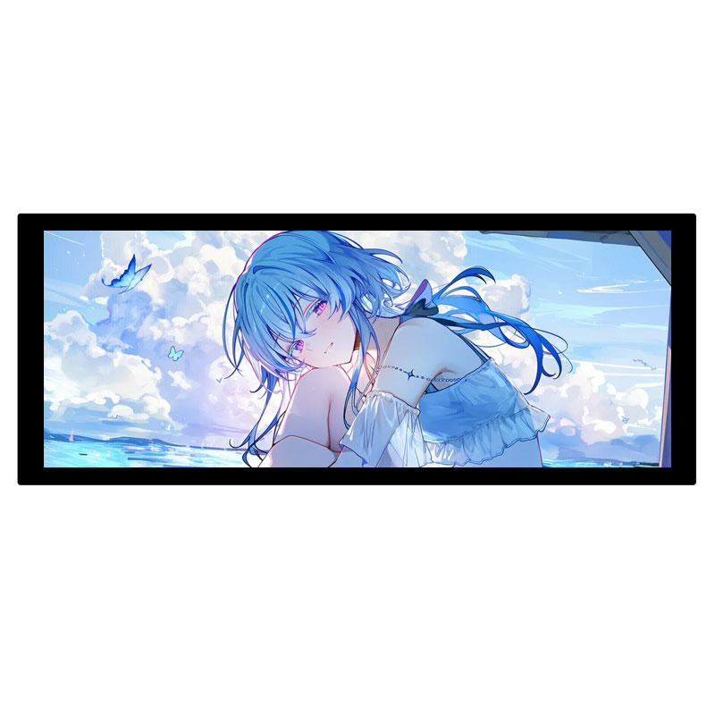 8.9inch LCD HDMI Capacitive 8.9 inch Touchscreen Display 600x1600 For Raspberry Pi/Jetson Nano/PC
