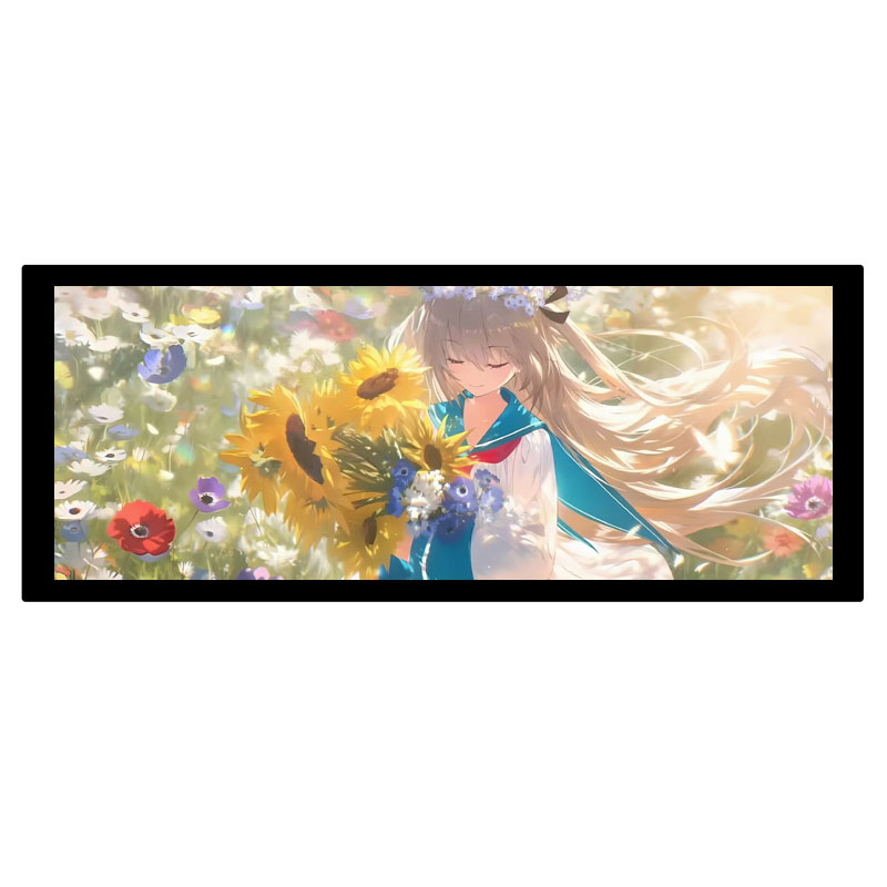 8.9inch LCD HDMI Capacitive 8.9 inch Touchscreen Display 600x1600 For Raspberry Pi/Jetson Nano/PC